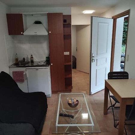 Deux Pieces Avec Grande Terrasse Au Calme Apartment Saint-Martin-Vésubie Екстериор снимка