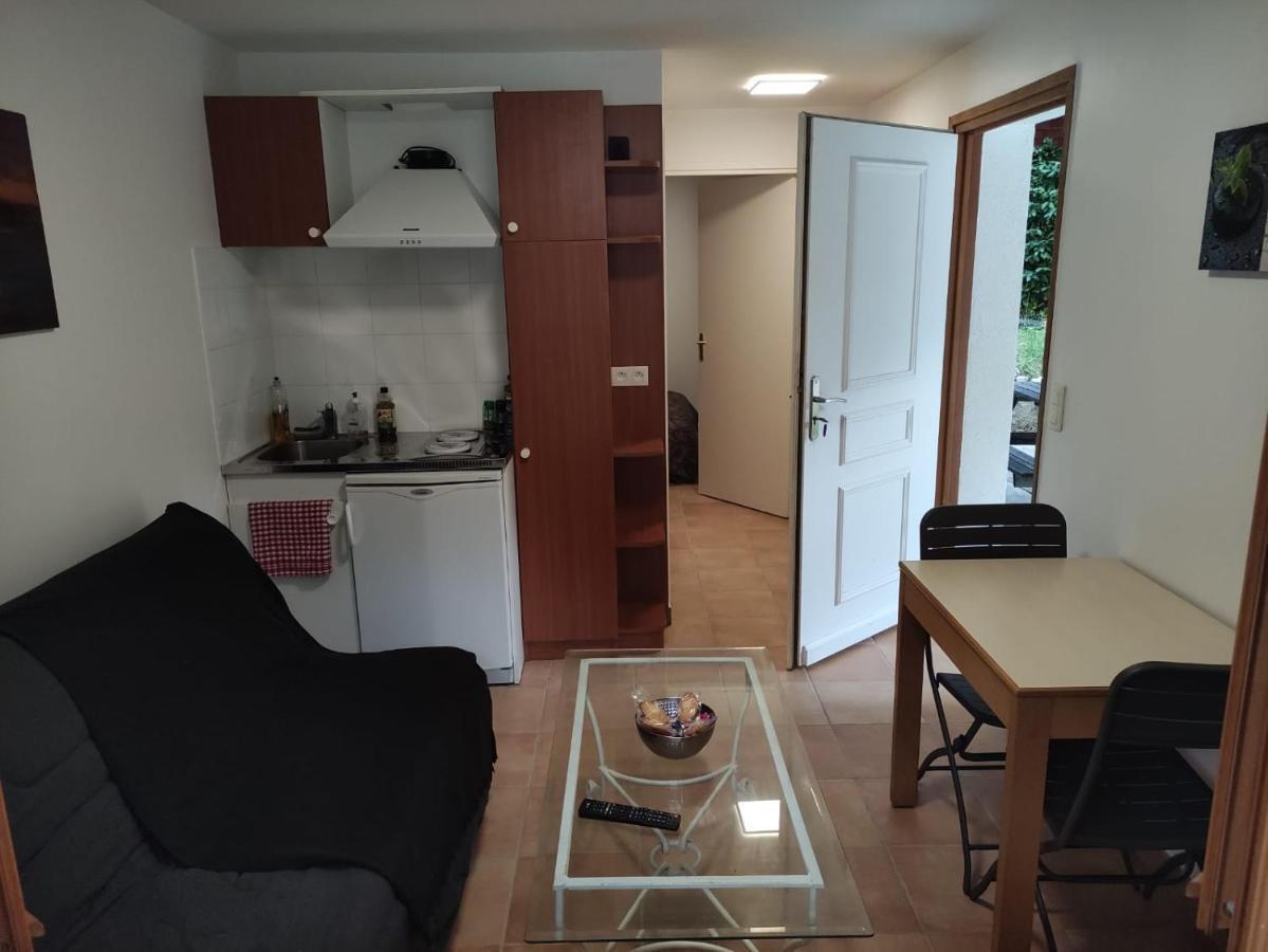 Deux Pieces Avec Grande Terrasse Au Calme Apartment Saint-Martin-Vésubie Екстериор снимка